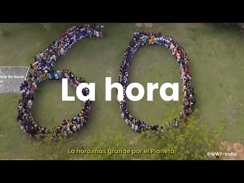 La Hora del Planeta 2024 | WWF