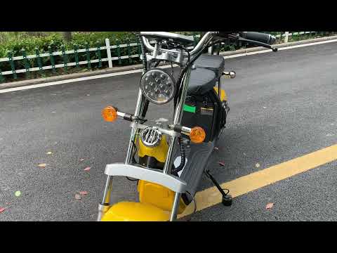 Electric Scooter citycoco chopper