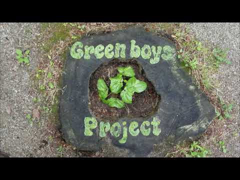 「Green boys」ミュージックビデオ