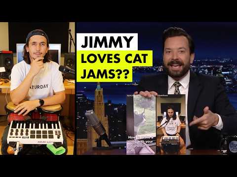 Jimmy Fallon Reacts to My Kiffness Cat Song! (Remix)