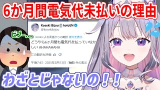 Twitter(X)でもポストした、電気代を6か月間支払ってなかった理由について話すビブーさん【ホロライブ切り抜き/古石ビジュー/Kosek