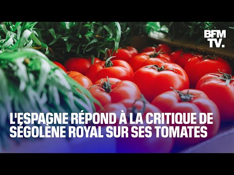 “Tomates immangeables”: le Premier ministre espagnol répond à la critique de Ségolène Royal
