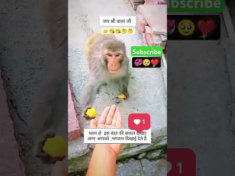 Jay Shri Ram #ytshorts  #shorts #video #Ram #JayShriRam #Bhagwan #Hanuman #🙏