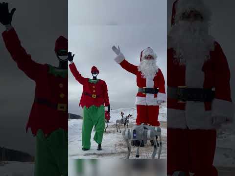 LA PRIMA SLITTA CON CANI ROBOT