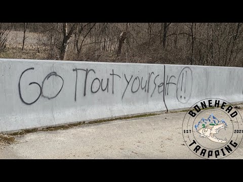 Trout Fishing Spring 2025 (Back to Back Golden Rainbows)