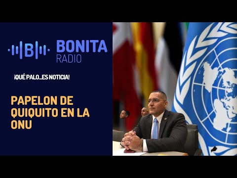 QPEN Apagan el micrófono a Quiquito Meléndez en Naciones Unidas
