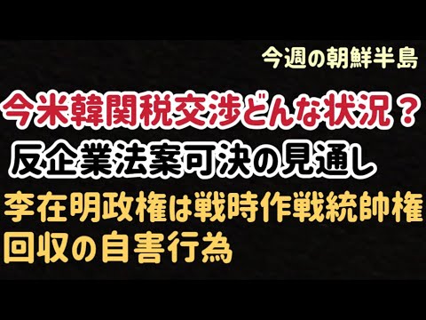 （2025.7.14）今週の朝鮮半島/今米韓関税交渉どんな状況？反企業法案可決の見通し、李在明政権は戦時作戦統帥権回収の自害行為