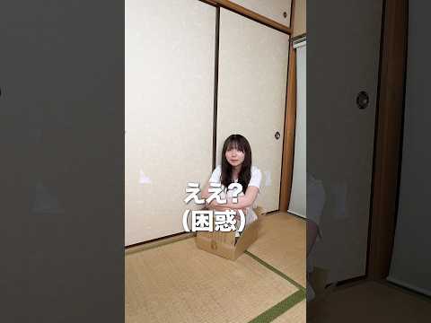 【爆笑】ダンボールに入って子猫ドッキリしたらまさかの結末がじゃんけんｗｗ　#shorts