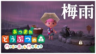 【あつ森】気まぐれ突発でコーディネートする【ハッピーホームパラダイス】