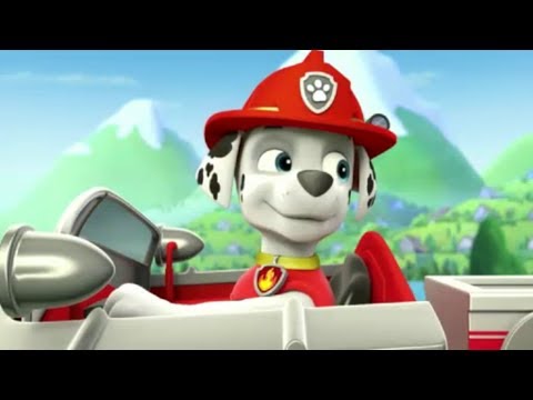 Paw Patrol Learn Colors Educational VIdeo for kids - Fun Animation Video for Kids !