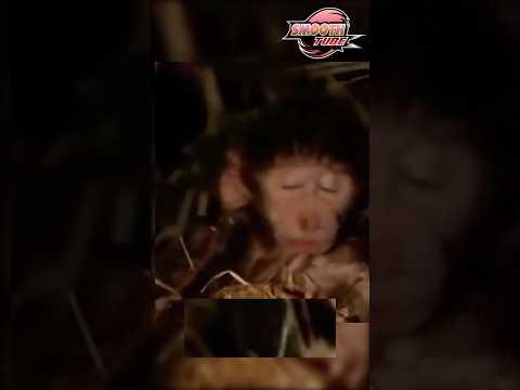 Psylocke VS Prey 😏🥷🏾