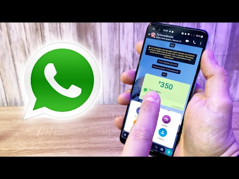 Novedades de WhatsApp EN ACCION! Nueva ACTUALIZACION disponible