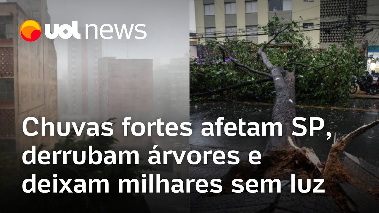 Chuvas fortes em São Paulo deixam mais de 480 mil sem luz, derrubam árvores e causam alagamento
