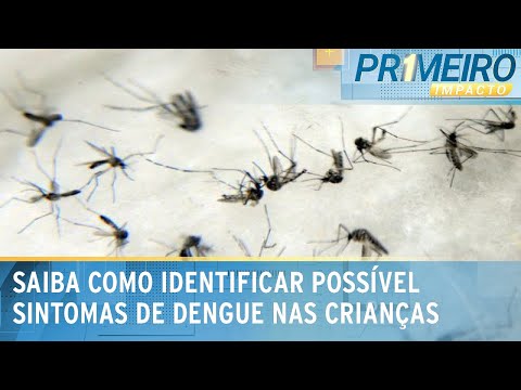 Pais saibam como identificar possíveis sinais de dengue em bebês | Primeiro Impacto (05/02/24)