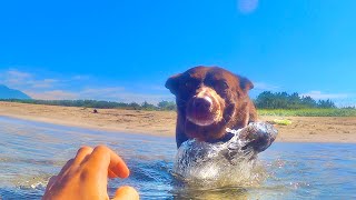 動画サムネイル