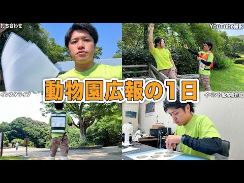 【密着】目まぐるしい1日！動物園広報担当のお仕事はこんな感じです。【YouTube撮影の裏側】