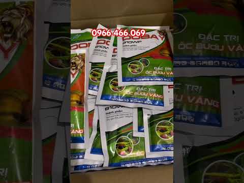 DOBAY 810WP, quản lý hiệu quả ốc trên ruộng lúa