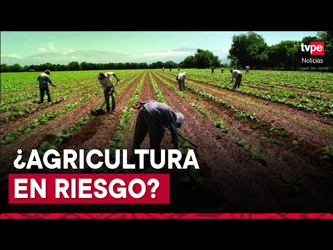 ¿Cuál es el panorama de la agricultura en el Perú para los próximos meses?