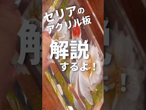 セリアのアクリル板作品を解説します #shorts #art #アナログ #絵 #100均