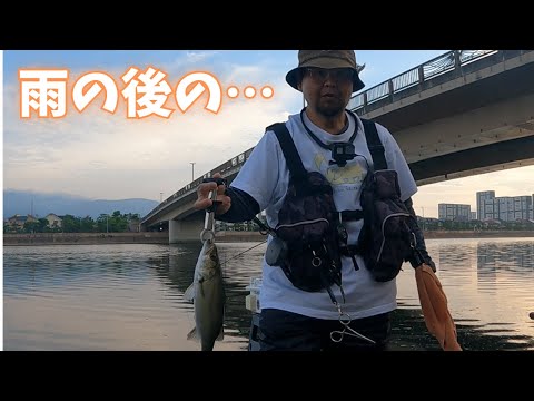 #407【エビ撒き】雨の後の・・・濁り・・・大潮・・・