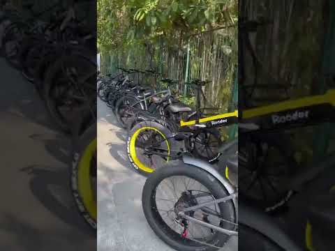 Rooder electric bike wholesale