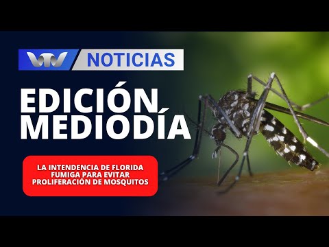 Edición Mediodía 15/01 | La Intendencia de Florida fumiga para evitar proliferación de mosquitos