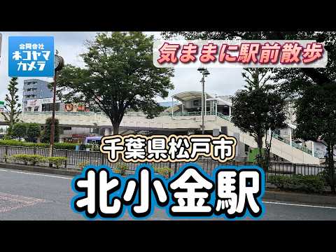 【千葉散歩#81】JR常磐線「北小金駅」周辺を歩いたよ!あじさい寺の本土寺をお参りして参道でお食事。路地裏歩いて歴史公園目指して楽しく散策よ!千葉県松戸市 #千葉県 #松戸市 #北小金駅