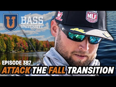 Justin Lucas | Fall Transition & Ultimate Angler - Bass University Live #387