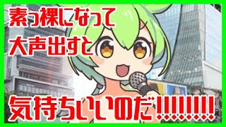 【ずんだもん】素っ裸になって大声を出すと気持ちいいのだ！【春日部つむぎ】