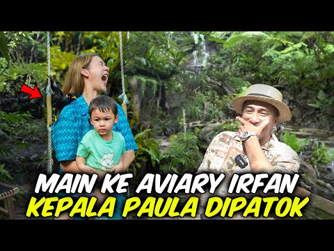KIANO KE AVIARY IRFAN HAKIM , MAMAH PAU DIPATOK BURUNG .. ‼️