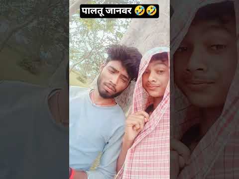 #funny #comedy #love 🤣🤣#comedyfilms #newमारवाड़ीcomedy #comedymovies #trending 🤣🤣