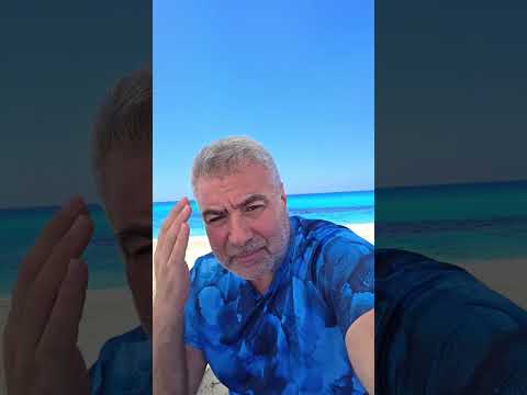 هل سمعت بكائن خيار البحر الشفاف..؟!!