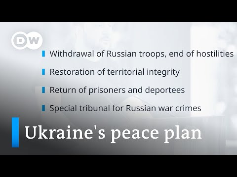 Why is Ukraine discussing its 'Peace Formula' at the World Economic Forum in Davos? | DW News