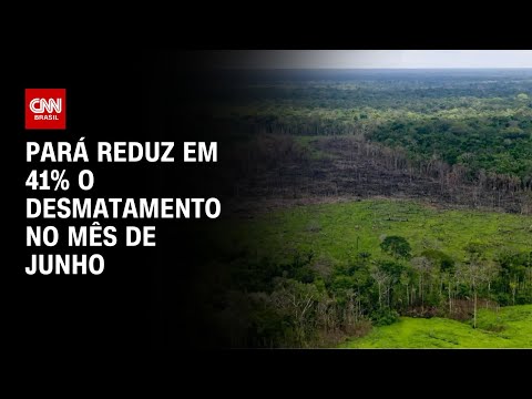 ​COP30: Pará reduz em 41% o desmatamento em junho | CNN PRIME TIME