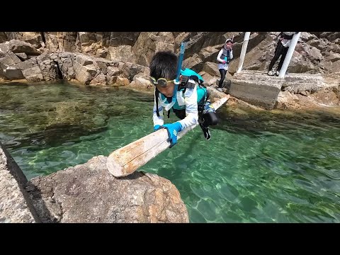 🐟海の生き物いろいろ鳥取 2025🐡