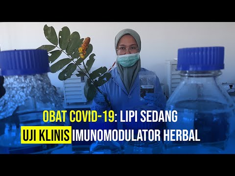 LIPI Tengah Uji Klinis Imunomodulator Herbal Sebagai Obat Covid-19