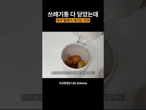 쓰레기통에서 벌레가 <strong>생기는</strong> <strong>이유</strong> ㄷㄷ #벌레 #날파리 #벼룩파리 #<strong>초파리</strong>