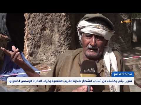 قناة بلقيس الفضائية