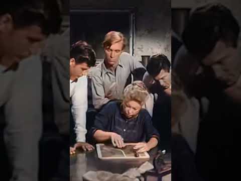 😇 Not so innocent 🎬 Ma Barker's Killer Brood #classicfilm #crime #drama #classics #colorized