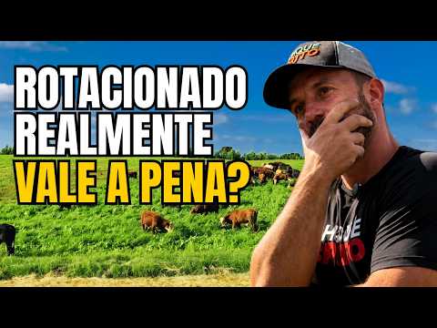 Talvez você não precise de mais área para produzir mais