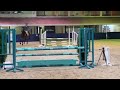 Show jumping horse Super fijn allround paard