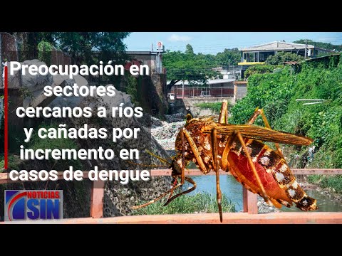 Temor en sectores por casos de dengue