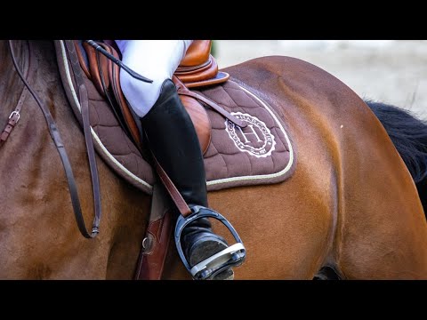 ¿Cómo va el Longines Global Champions Tour México 2023?