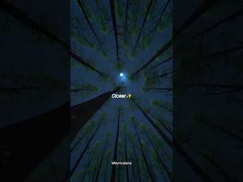 All The Stars - kendrick lamar Sza (lyrics ) #allthestars #sza #kendricklamar #lyrics #shorts