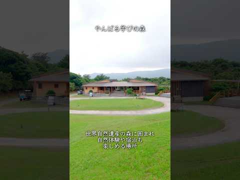 世界自然遺産の森に囲まれた「やんばる学びの森」へおばあちゃんと行ってきました#沖縄 #国頭村 #おばあちゃん #pr