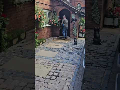 Bumble Hole days.#puppy #doglife