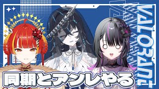 【VALORANT】同期とアンレなるものを遊ぶ【 #不知名イヲ / Re:AcT 】