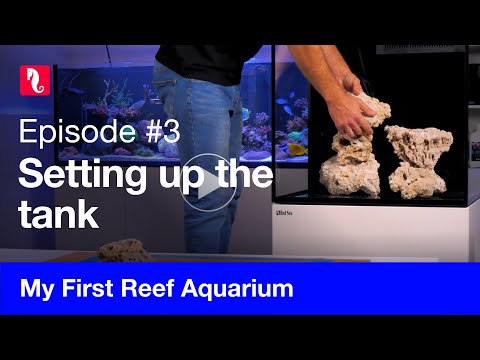 My First Reef Aquarium, episode 3 - Setting up the tank