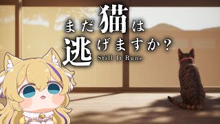 【 まだ猫は逃げますか？ 】ホラーゲーム？ステルス？猫ちゃんはホラー要素にはならないので安心してみれます👀 【 #猫咲あんじ 】