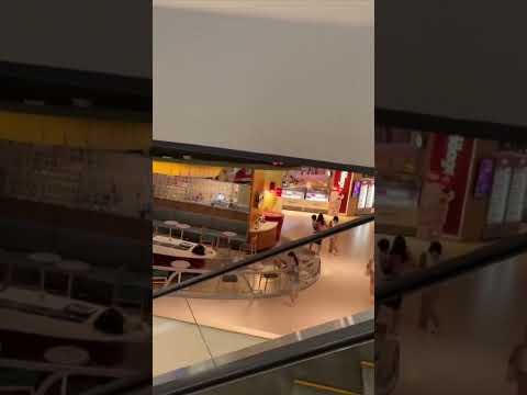 Gunshots as people flee shopping mall